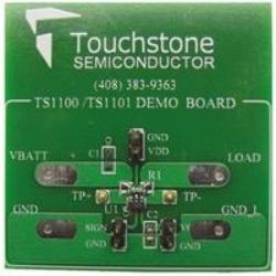 TS1100-100DB Touchstone Semiconductor