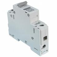 AS168X-CB1G200 Schurter