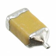 F951E475KAAAQ2 Nichicon Surface Mount 1206 (3216 Metric) 2 Ohm 4.7μF